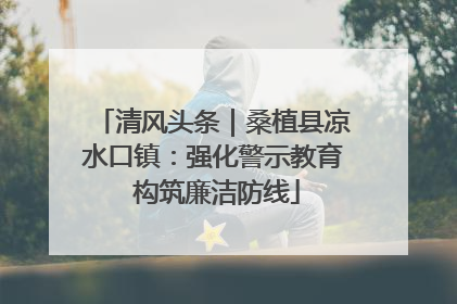 清风头条｜桑植县凉水口镇：强化警示教育 构筑廉洁防线
