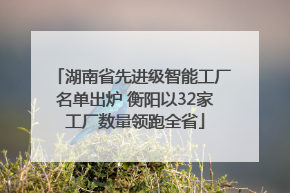 湖南省先进级智能工厂名单出炉 衡阳以32家工厂数量领跑全省