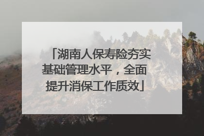 湖南人保寿险夯实基础管理水平，全面提升消保工作质效