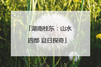 湖南桂东：山水四都 夏日探奇