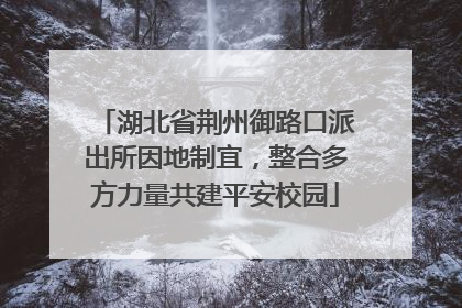 湖北省荆州御路口派出所因地制宜，整合多方力量共建平安校园