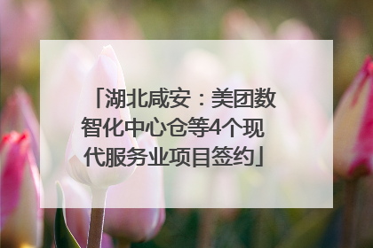 湖北咸安：美团数智化中心仓等4个现代服务业项目签约