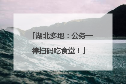 湖北多地：公务一律扫码吃食堂！