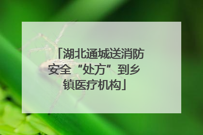 湖北通城送消防安全“处方”到乡镇医疗机构