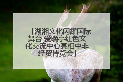 湖湘文化闪耀国际舞台 爱晚亭红色文化交流中心亮相中非经贸博览会