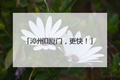 漳州⇋厦门，更快！