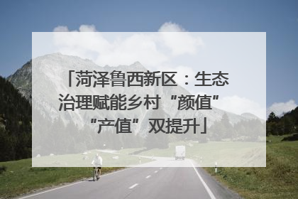 菏泽鲁西新区：生态治理赋能乡村“颜值”“产值”双提升