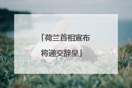 荷兰首相宣布将递交辞呈