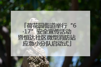 荷花园街道举行“6·17”安全宣传活动暨恒达社区微型消防站应急小分队启动式
