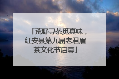 荒野寻茶觅真味，红安县第九届老君眉茶文化节启幕
