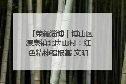 荣耀淄博｜博山区源泉镇北崮山村：红色精神强根基 文明新风润山乡