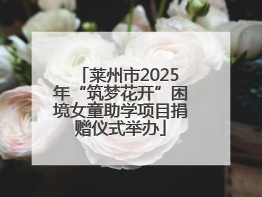 莱州市2025年“筑梦花开”困境女童助学项目捐赠仪式举办