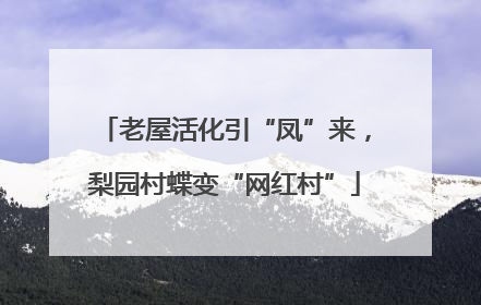 老屋活化引“凤”来，梨园村蝶变“网红村”