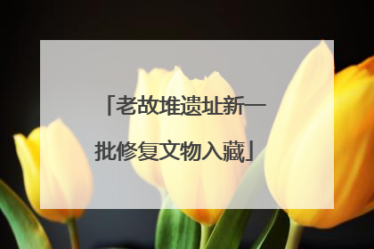 老故堆遗址新一批修复文物入藏