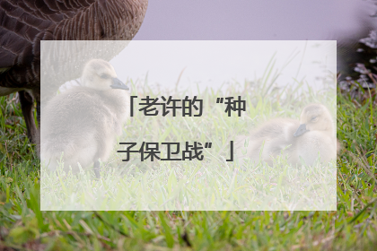 老许的“种子保卫战”