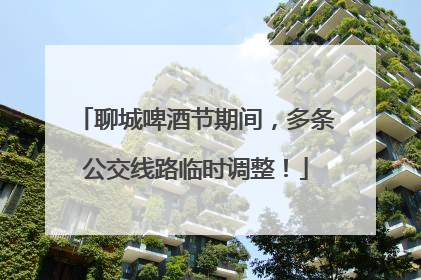 聊城啤酒节期间，多条公交线路临时调整！