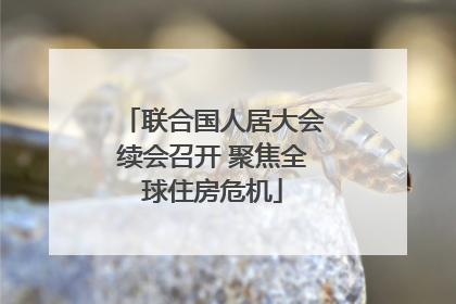 联合国人居大会续会召开 聚焦全球住房危机