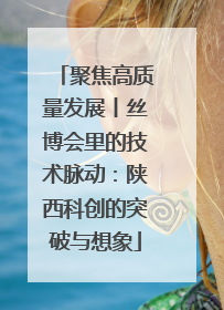 聚焦高质量发展丨丝博会里的技术脉动：陕西科创的突破与想象
