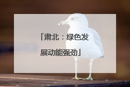 肃北：绿色发展动能强劲