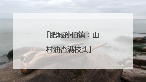 肥城孙伯镇：山村油杏满枝头