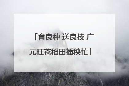 育良种 送良技 广元旺苍稻田插秧忙