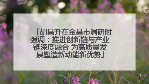 胡昌升在金昌市调研时强调：推进创新链与产业链深度融合 为高质量发展塑造新动能新优势