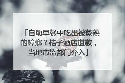 自助早餐中吃出被蒸熟的蟑螂？桔子酒店道歉，当地市监部门介入