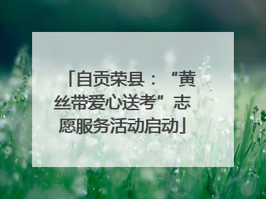 自贡荣县：“黄丝带爱心送考”志愿服务活动启动