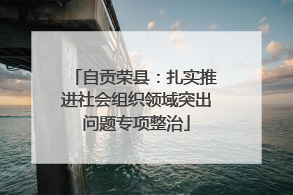 自贡荣县：扎实推进社会组织领域突出问题专项整治
