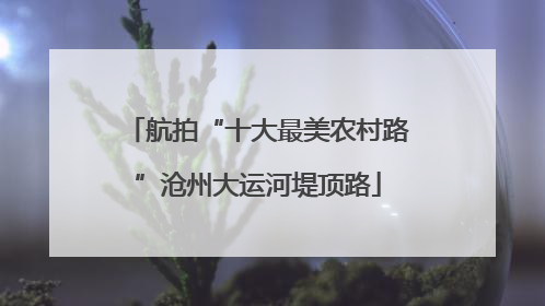 航拍“十大最美农村路”沧州大运河堤顶路