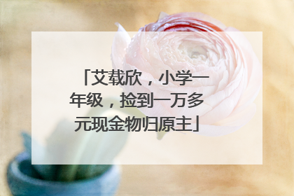 艾载欣，小学一年级，捡到一万多元现金物归原主