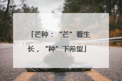 芒种：“芒”着生长，“种”下希望