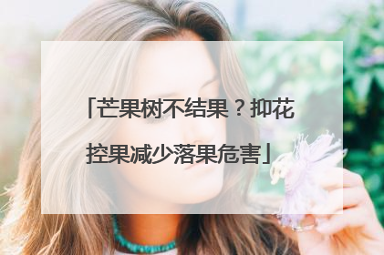 芒果树不结果？抑花控果减少落果危害
