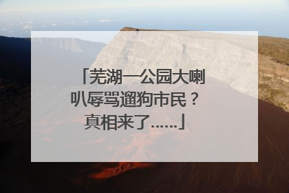 芜湖一公园大喇叭辱骂遛狗市民？真相来了……