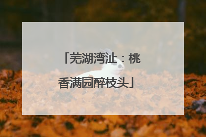 芜湖湾沚：桃香满园醉枝头