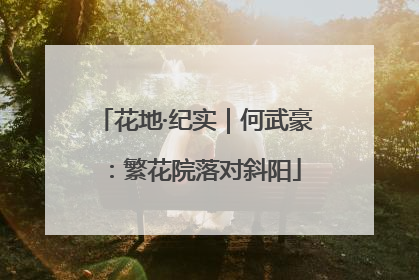花地·纪实｜何武豪：繁花院落对斜阳