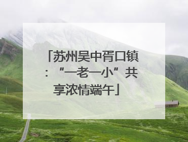 苏州吴中胥口镇：“一老一小”共享浓情端午