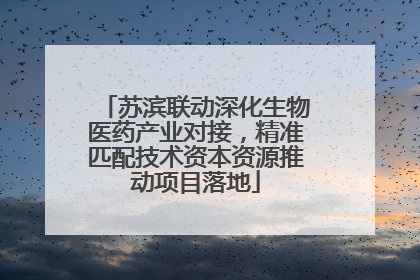 苏滨联动深化生物医药产业对接，精准匹配技术资本资源推动项目落地