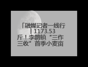 融媒记者一线行丨1173.53斤！李鹊镇“三作三收”首季小麦亩产创新高