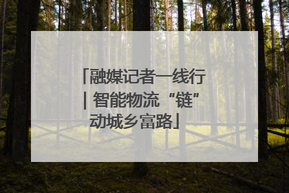 融媒记者一线行｜智能物流“链”动城乡富路
