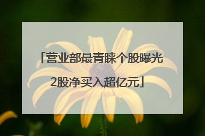 营业部最青睐个股曝光 2股净买入超亿元