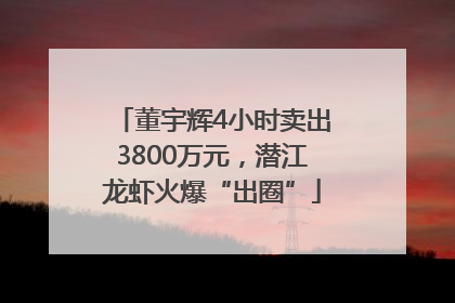 董宇辉4小时卖出3800万元，潜江龙虾火爆“出圈”