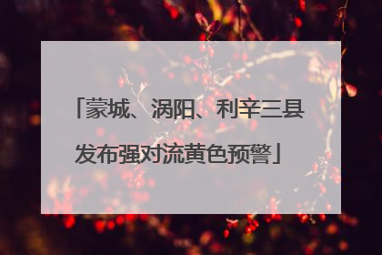蒙城、涡阳、利辛三县发布强对流黄色预警