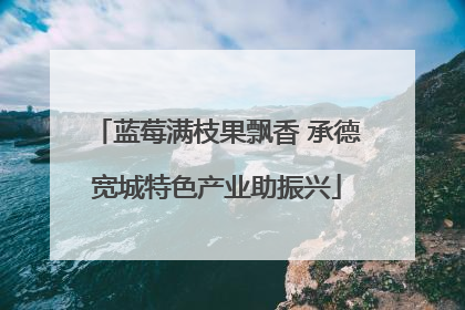 蓝莓满枝果飘香 承德宽城特色产业助振兴