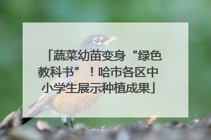 蔬菜幼苗变身“绿色教科书”！哈市各区中小学生展示种植成果