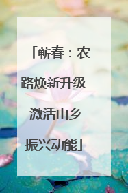 蕲春：农路焕新升级 激活山乡振兴动能