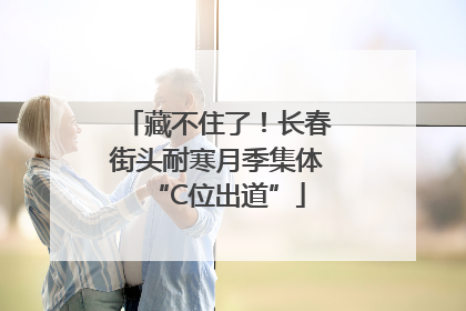 藏不住了！长春街头耐寒月季集体“C位出道”