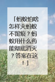 蚂蚁怕啥怎样灭蚂蚁不留痕？蚂蚁用什么药能彻底消灭？答案在这！