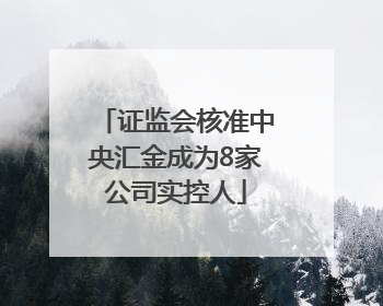 证监会核准中央汇金成为8家公司实控人