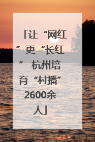 让“网红”更“长红” 杭州培育“村播”2600余人